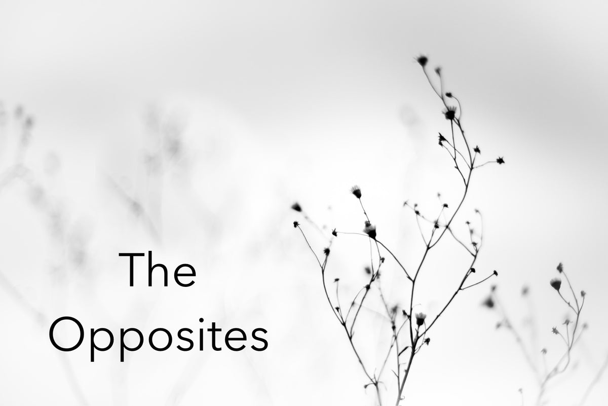 The Opposites | Original Handwritten Poem | Reía Dawn Art