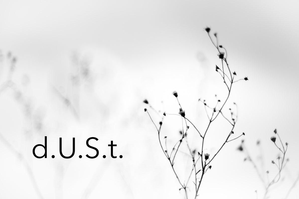 d.U.S.t. | Original Handwritten Poem | Reía Dawn Art