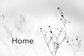 Home | Original Handwritten Poem | Reía Dawn Art
