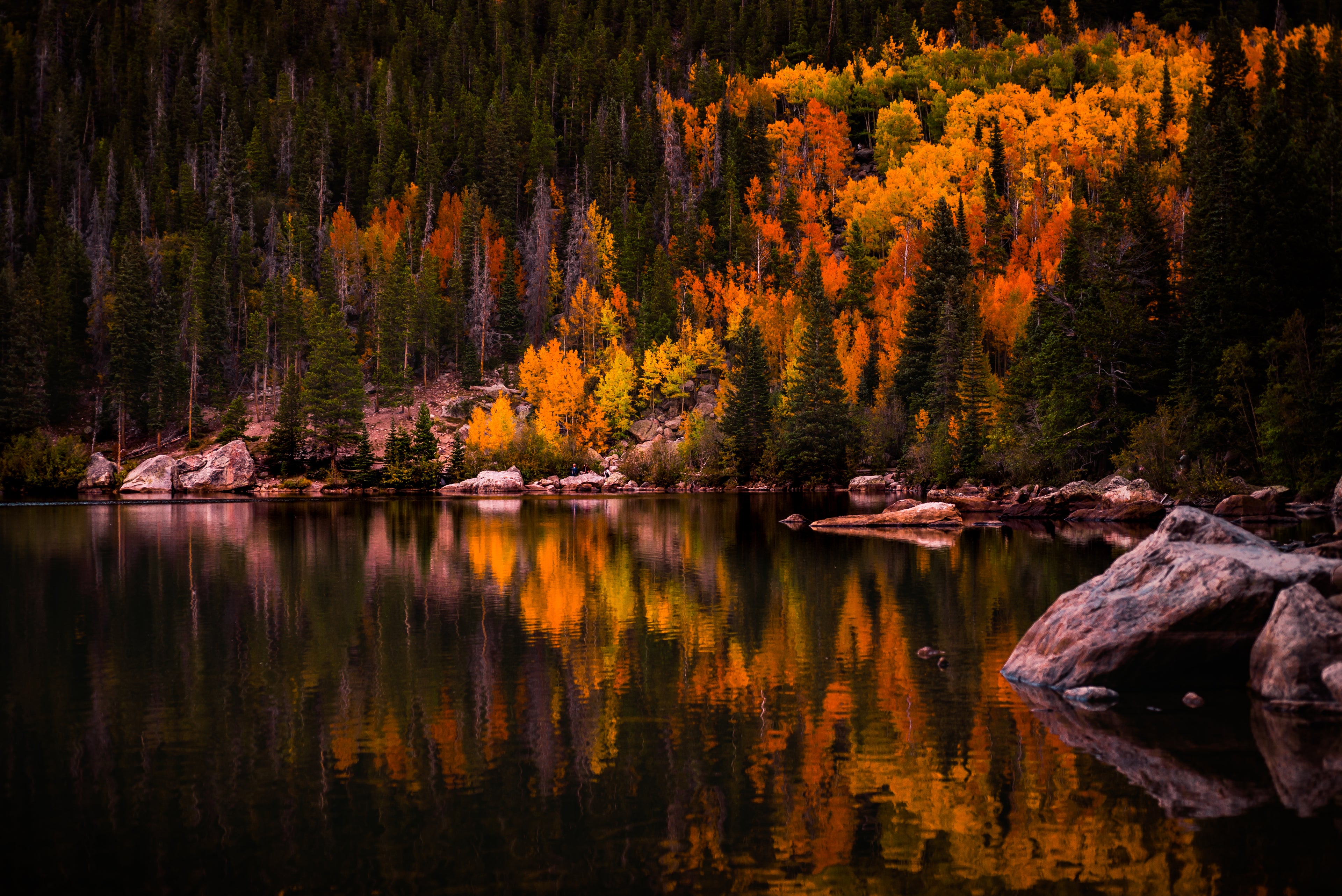Autumn Reflections | Signed Photo Print | Reia Dawn Art