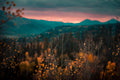 Some Other Beginning's End | Signed Photo Print | Reia Dawn Art