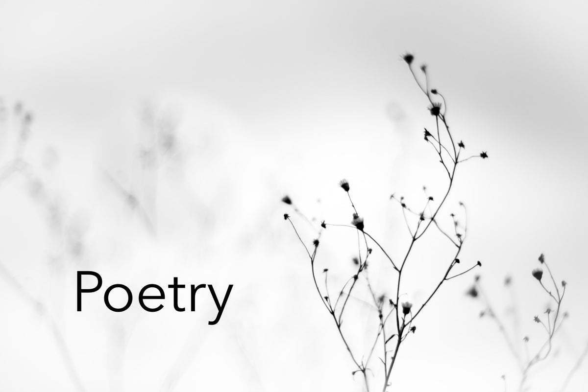 Poetry | Original Handwritten Poem | Reía Dawn Art